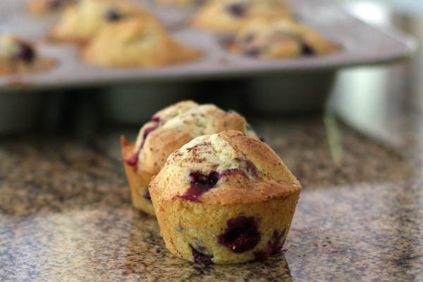 blueberry muffins