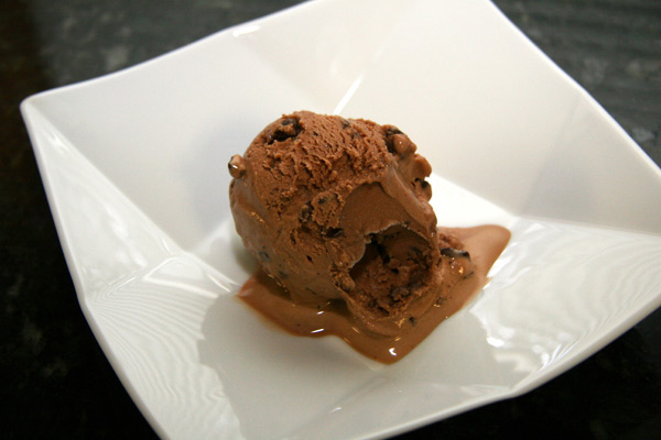 Chocolate Frozen Yogurt - Classic-Recipes