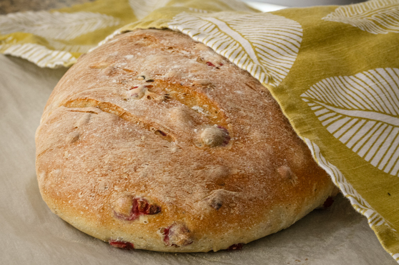 Cranberry Yeast Bread Recipe 9117