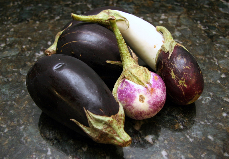 Roasted Eggplant Dip