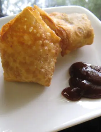 chicken wonton appetizers on a plate with barbecue sauce