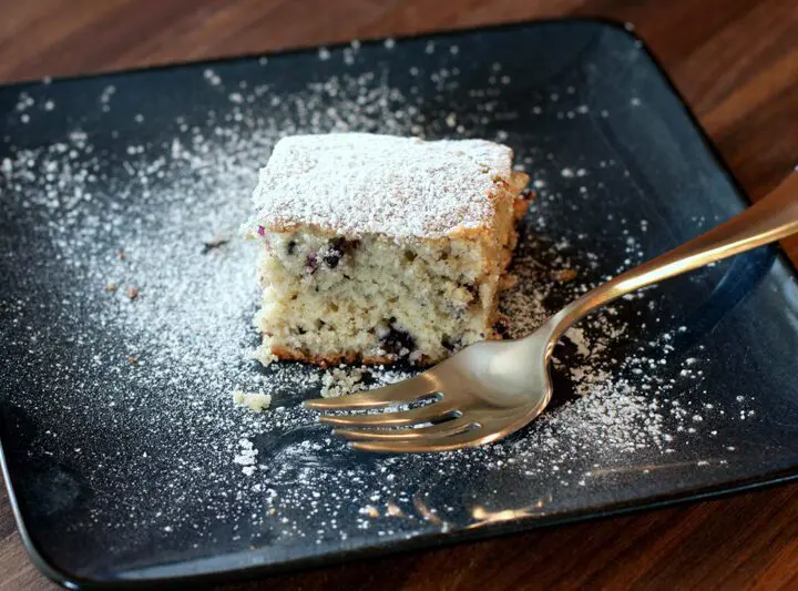 blueberry snack cake with powdered sugar topping on a plate