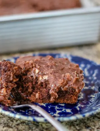 chocolate buttermilk cake with coconut pecan frosting