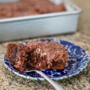 chocolate buttermilk cake on a plate