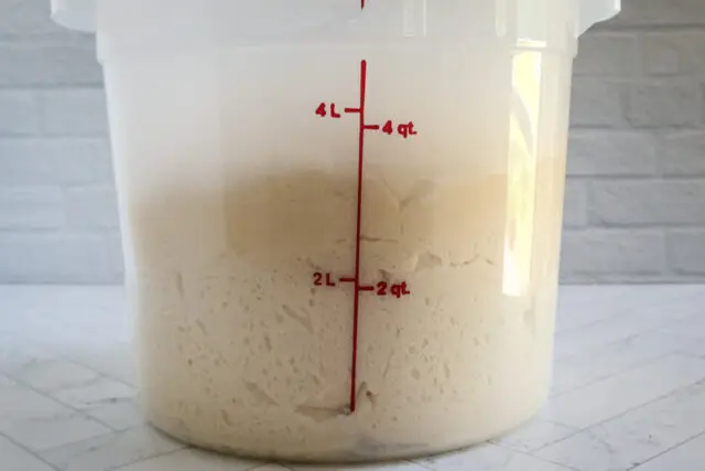 Dough rising in a Cambro container.