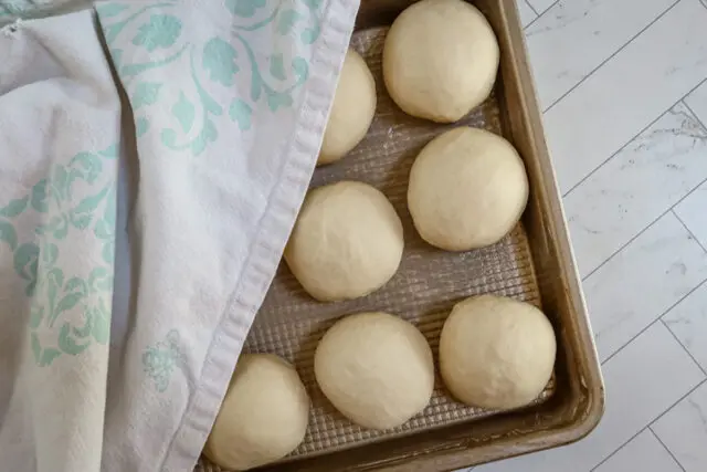 Dinner rolls rising in the pan.