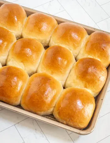 A pan of baked homemade dinner rolls.