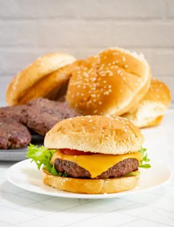 cheeseburger on a small plate