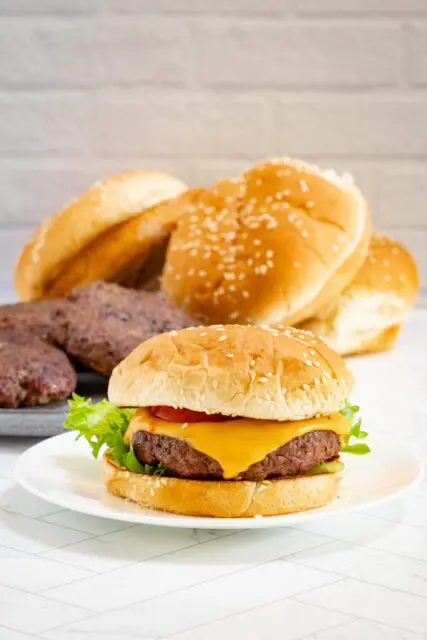 cheeseburger on a small plate