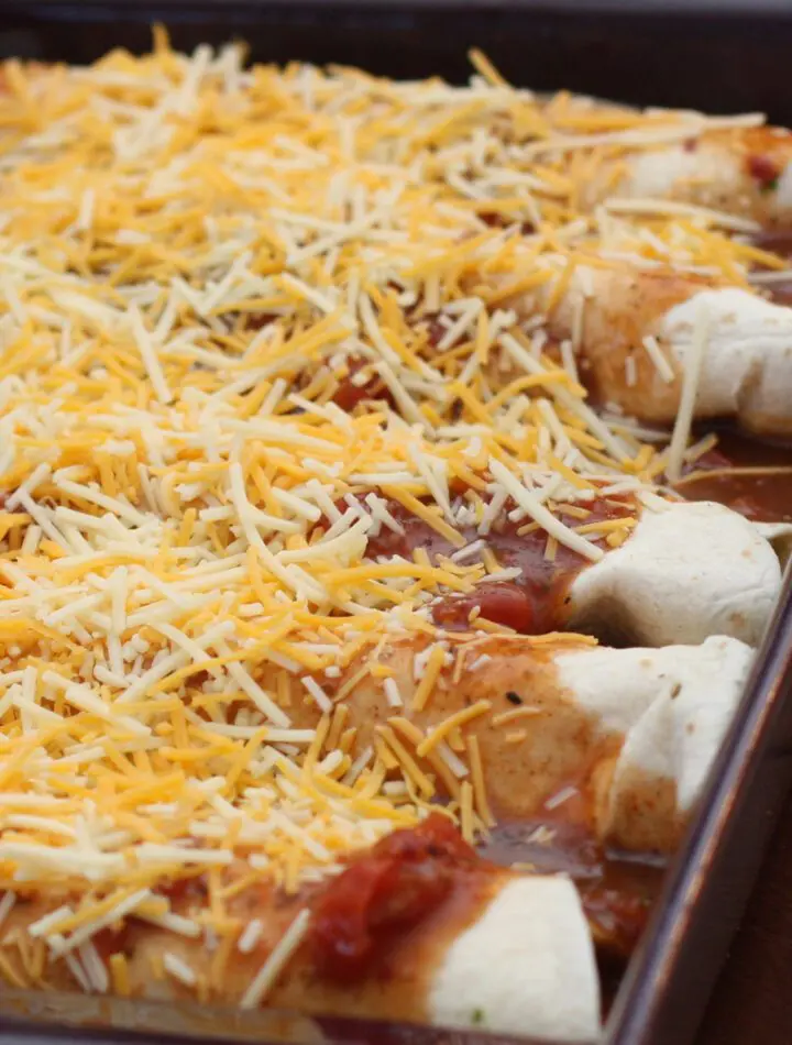 chicken enchiladas ready to bake