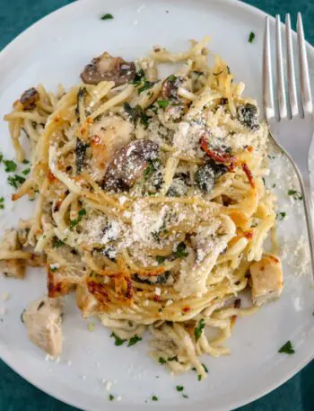 chicken tetrazzini serving on a plate with fork