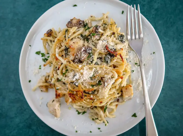 chicken tetrazzini serving on a plate with fork