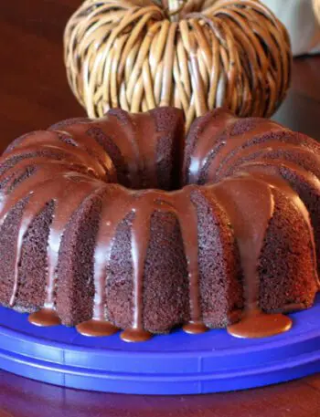 chocolate bundt cake on cake carrier tray