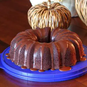 moist chocolate bundt cake with chocolate icing