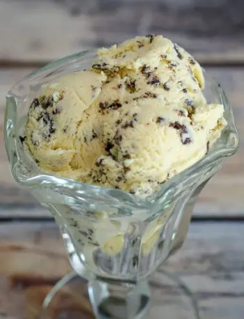 chocolate chip ice cream in a dessert dish