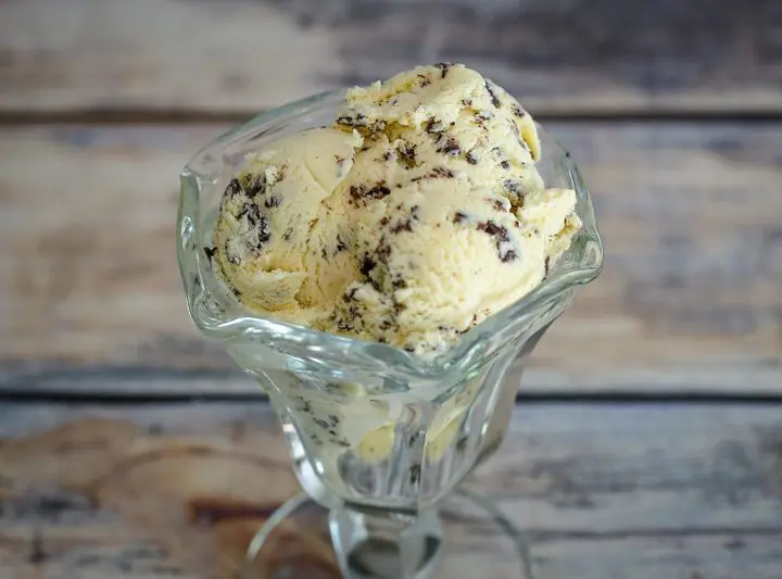 chocolate chip ice cream in a dessert dish