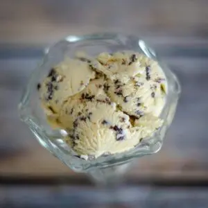 chocolate chip ice cream overhead shot with the ice cream in a dessert dish