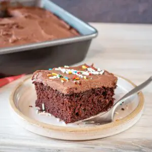 chocolate coconut oil cake slice on a plate