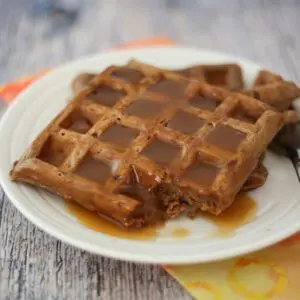 chocolate waffles on a plate