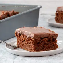 chocolate zucchini cake with fudgy chocolate frosting