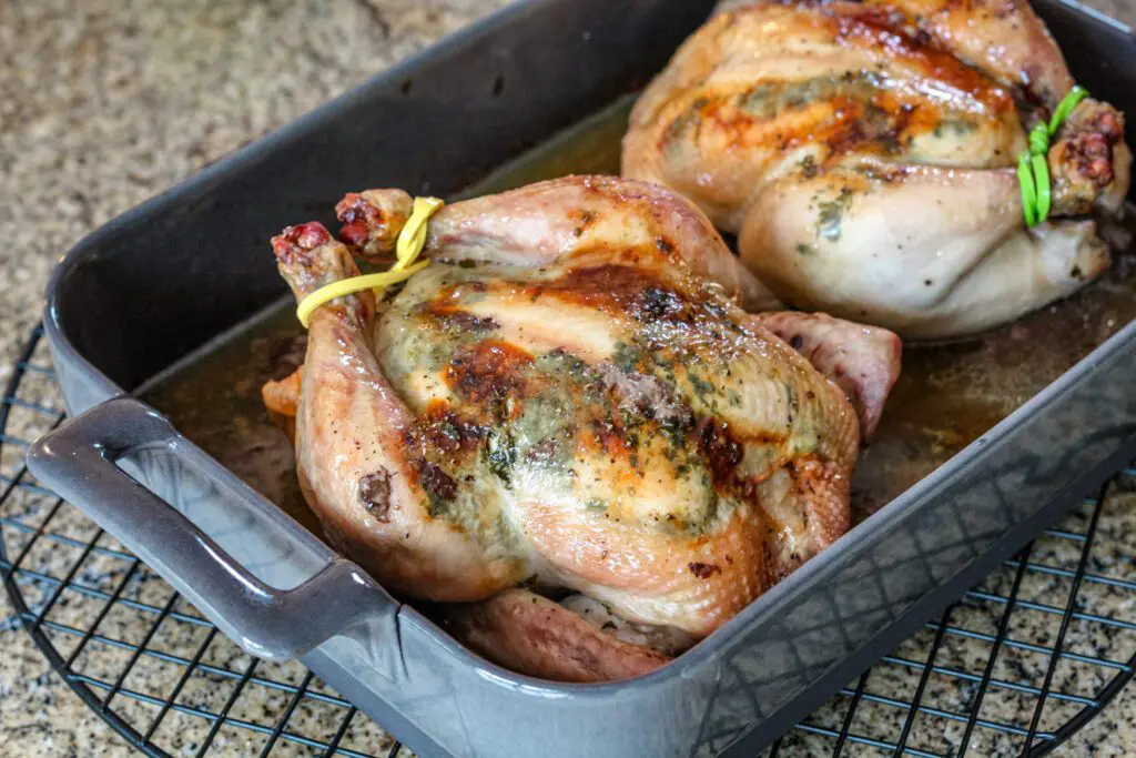 Perfectly roasted rock Cornish game hens on a baking dish, flavored with garlic cilantro butter.