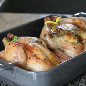 game hens with cilantro butter, roasted, in the baking dish.