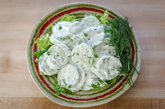 cucumber salad with sour cream and dill on a plate