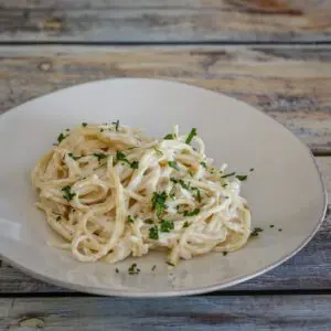 pasta alfredo on a plate