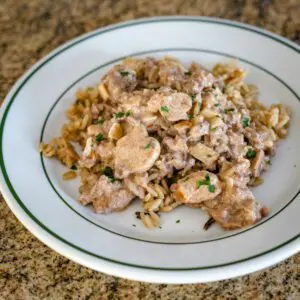 ground beef stroganoff recipe with rice and a creamy sour cream sauce