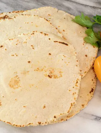 homemade corn tortillas