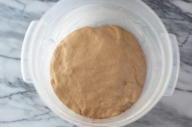 homemade pumpernickel bread dough rising in a Cambro container