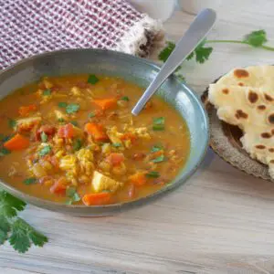 instant pot mulligatawny soup