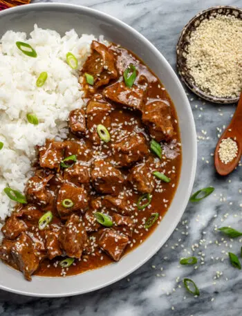 Bowl of Korean beef with rice.