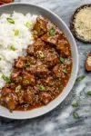 Bowl of Korean beef with rice.