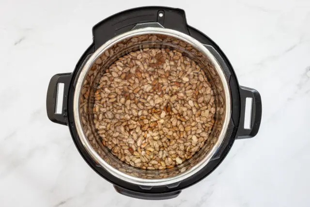 Pinto beans in the Instant Pot Pressure cooker.