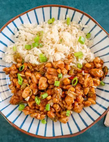 kung pao chicken with rice