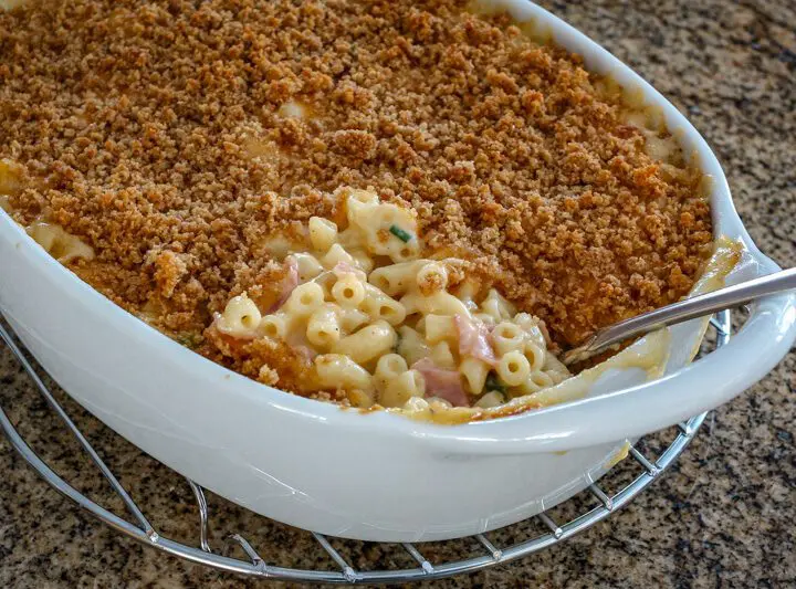 macaroni and cheese with salmon and breadcrumb topping