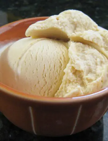 maple ice cream in a small bowl