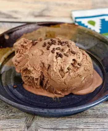 A scoop of mocha ice cream garnished with chocolate jimmies.