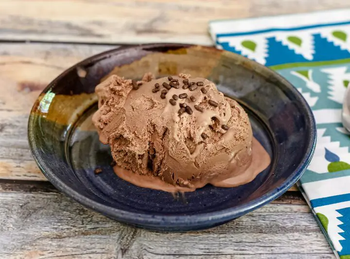 A scoop of mocha ice cream garnished with chocolate jimmies.