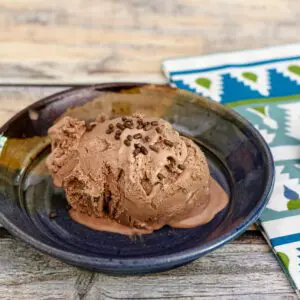 Mocha ice cream on a dessert plate with garnish.