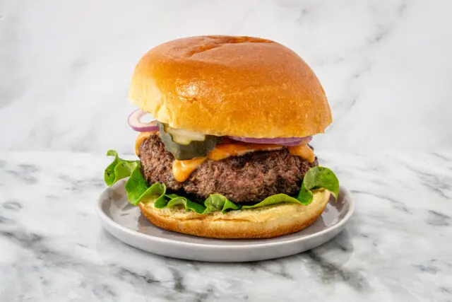 Mozzarella burgers with all the toppings on brioche bun.