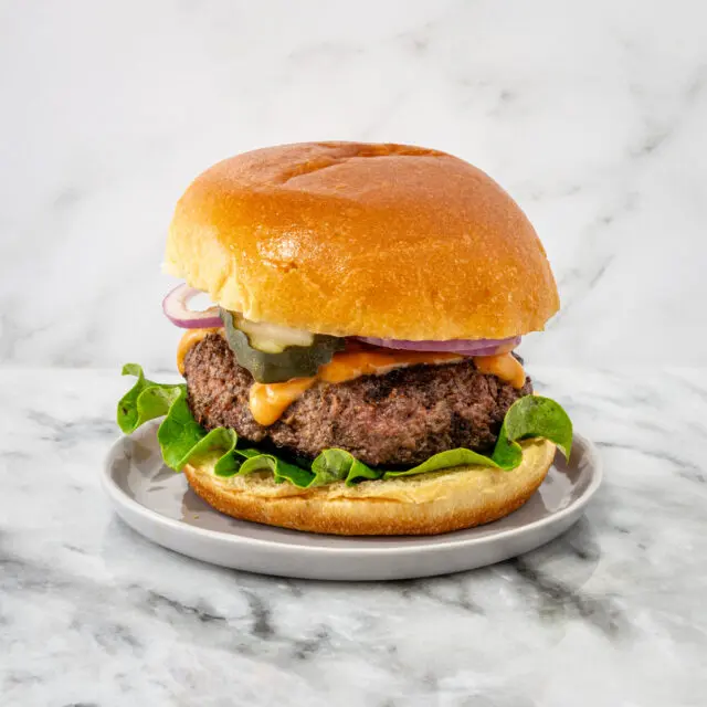 Mozzarella burgers with all the toppings on brioche bun.