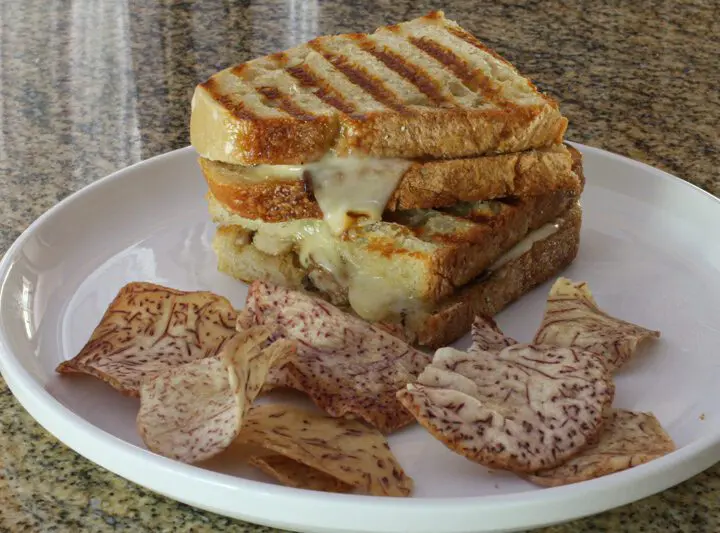 A grilled mushroom and fontina cheese sandwich on a plate with chips.