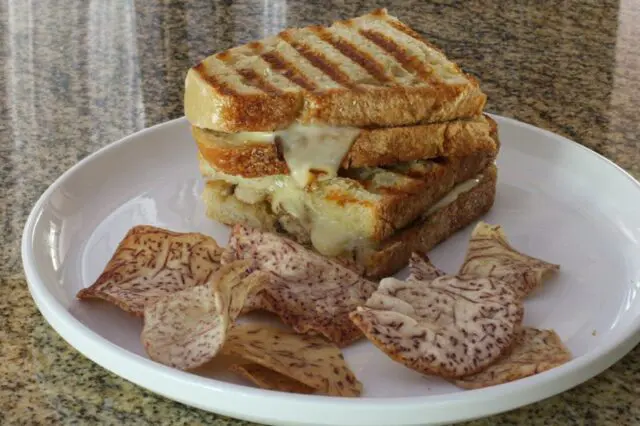 A grilled mushroom and fontina cheese sandwich on a plate with chips.