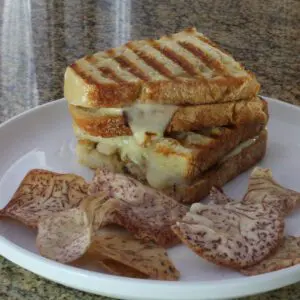 A grilled cheese and mushroom sandwich on a plate with chops on the side.