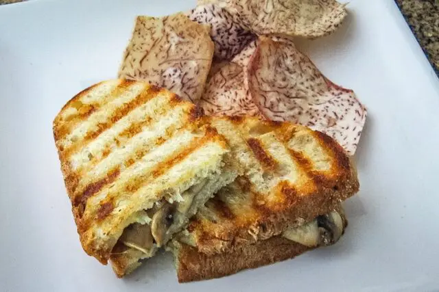 overhead photo of the mushroom sandwich
