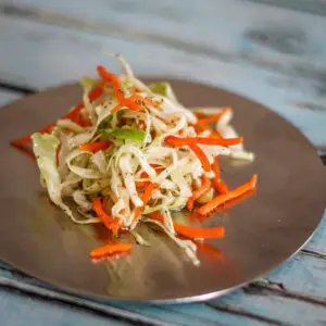 a small plate with a serving of nc coleslaw