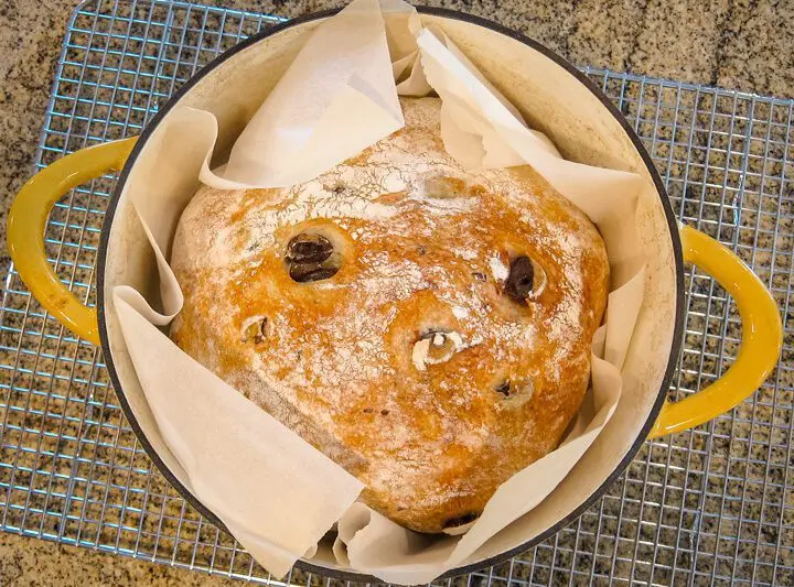 No-knead olive bread in the Dutch oven.