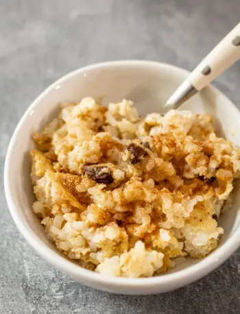 A bowl of rice pudding with cinnamon sugar sprinkled over it.